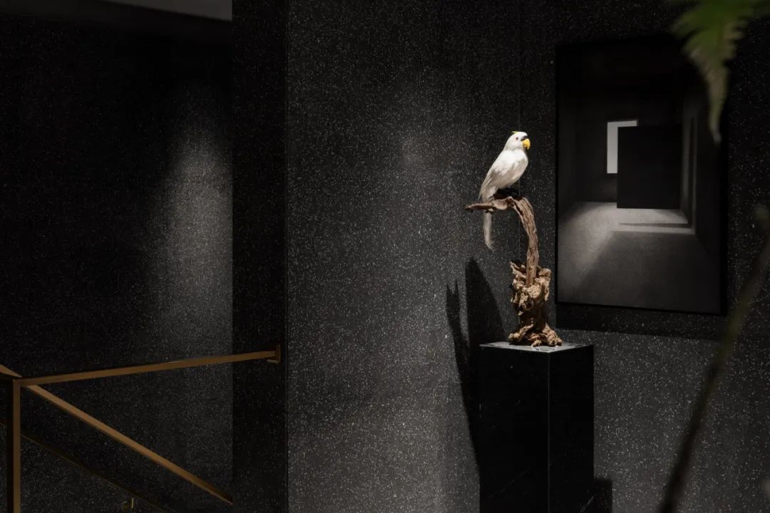 安徽百鹭里火锅料理餐厅丨中国安徽丨河南东合建筑装饰工程设计有限公司,河南素颜软装设计有限公司-11