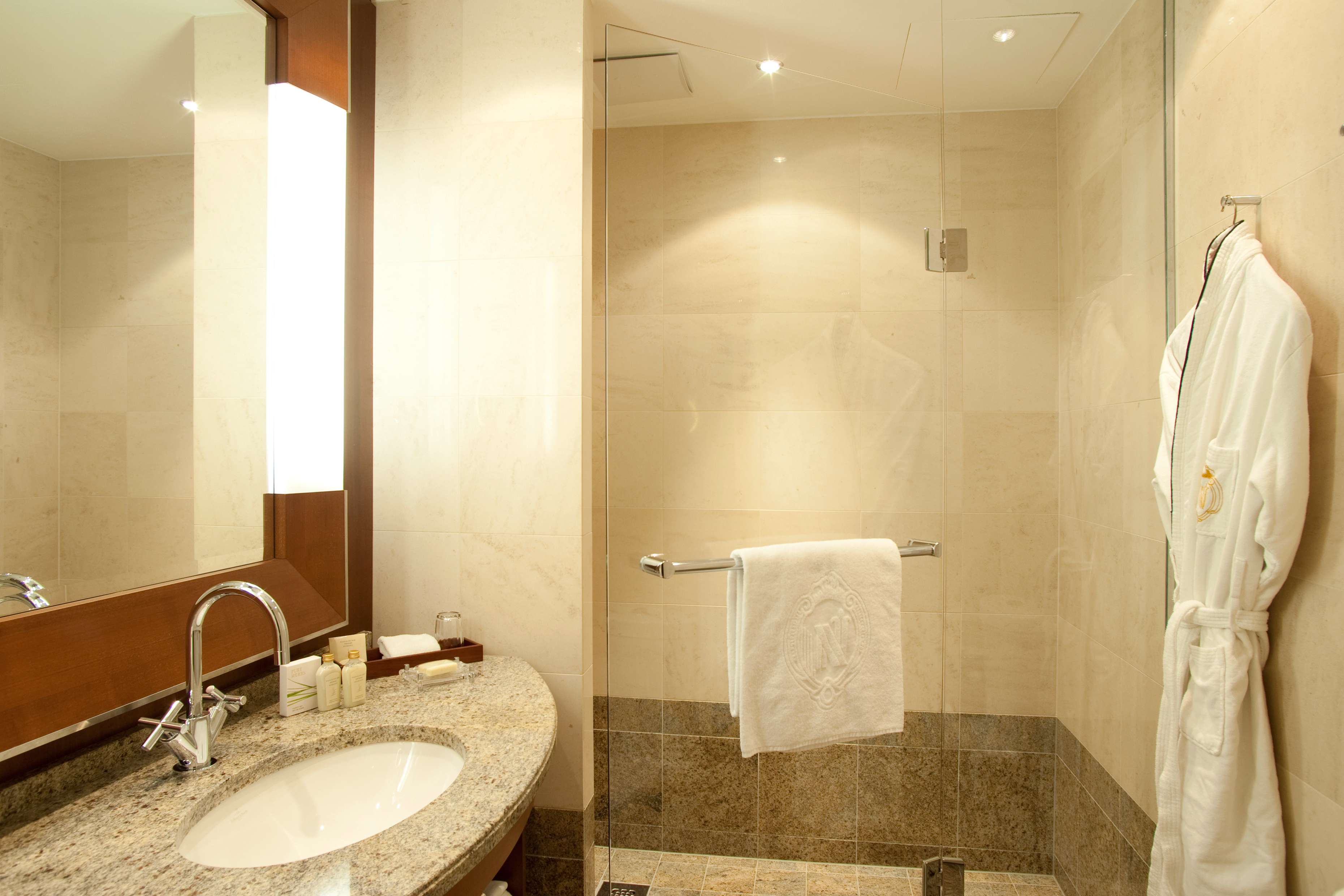 德国威斯巴登纳索尔霍夫酒店-46