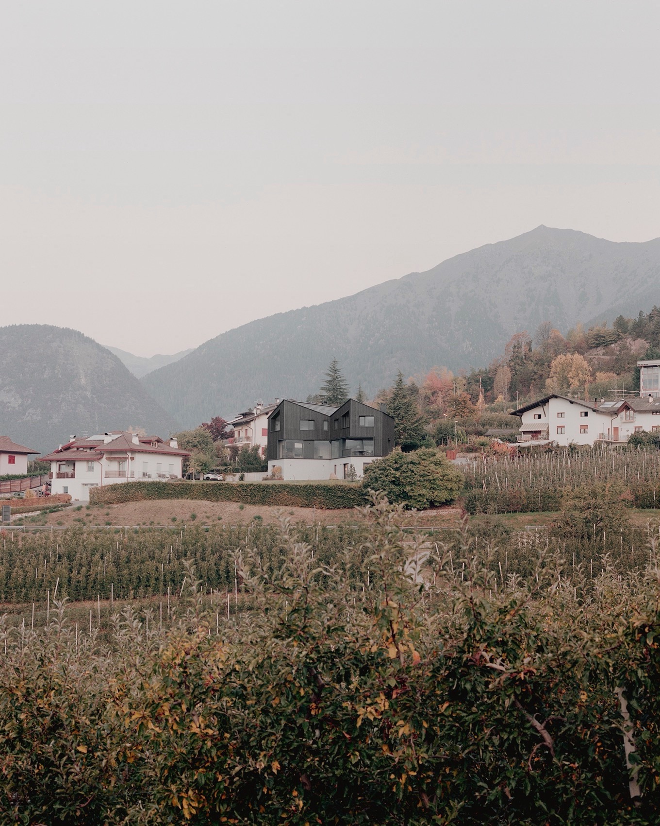 故乡之家丨意大利特伦托-198