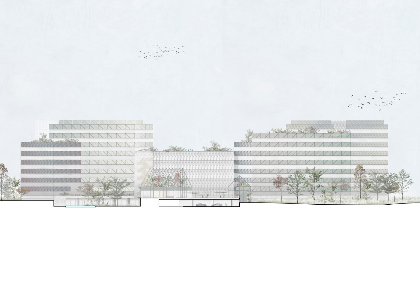 赞比亚 Segreen Business Park 商业园区丨Studio Elementare-5