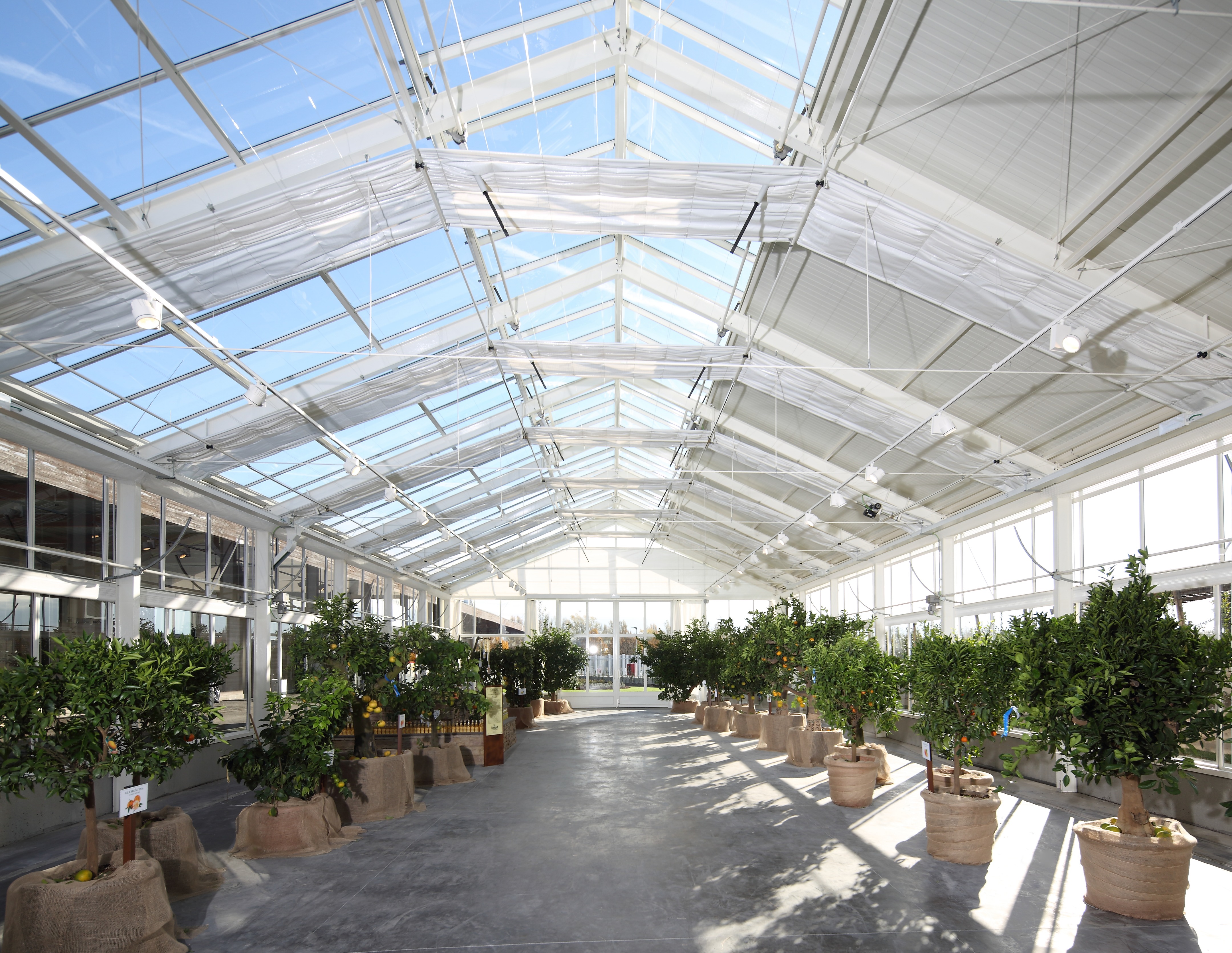 菲科·意塔利世界-28