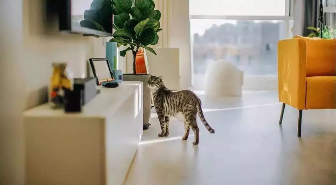 57㎡北漂二手房大翻身,开放式北欧厨房成亮点-51