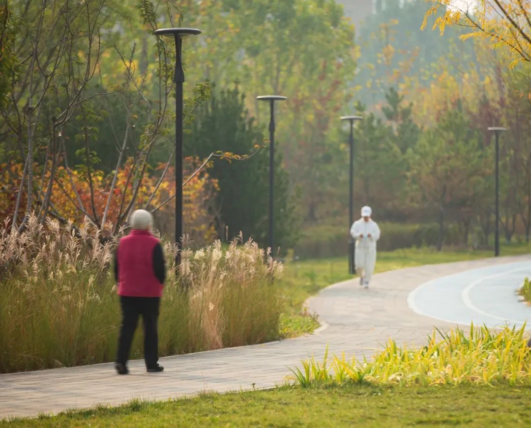 北京大兴庞各庄临空产业园周边景观丨中国北京-18