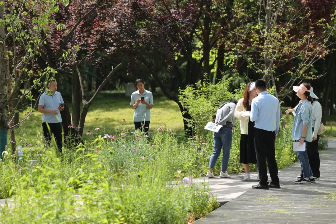 西安欧亚学院南姜路景观改造丨中国西安丨张唐景观-82