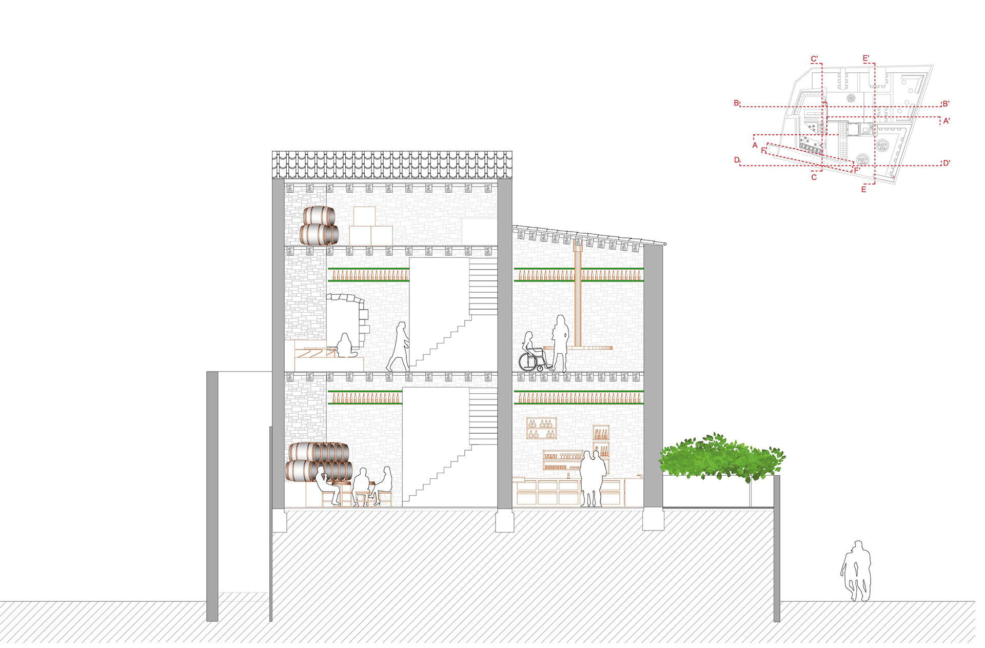 Donçell 大学项目 2023 个体-20