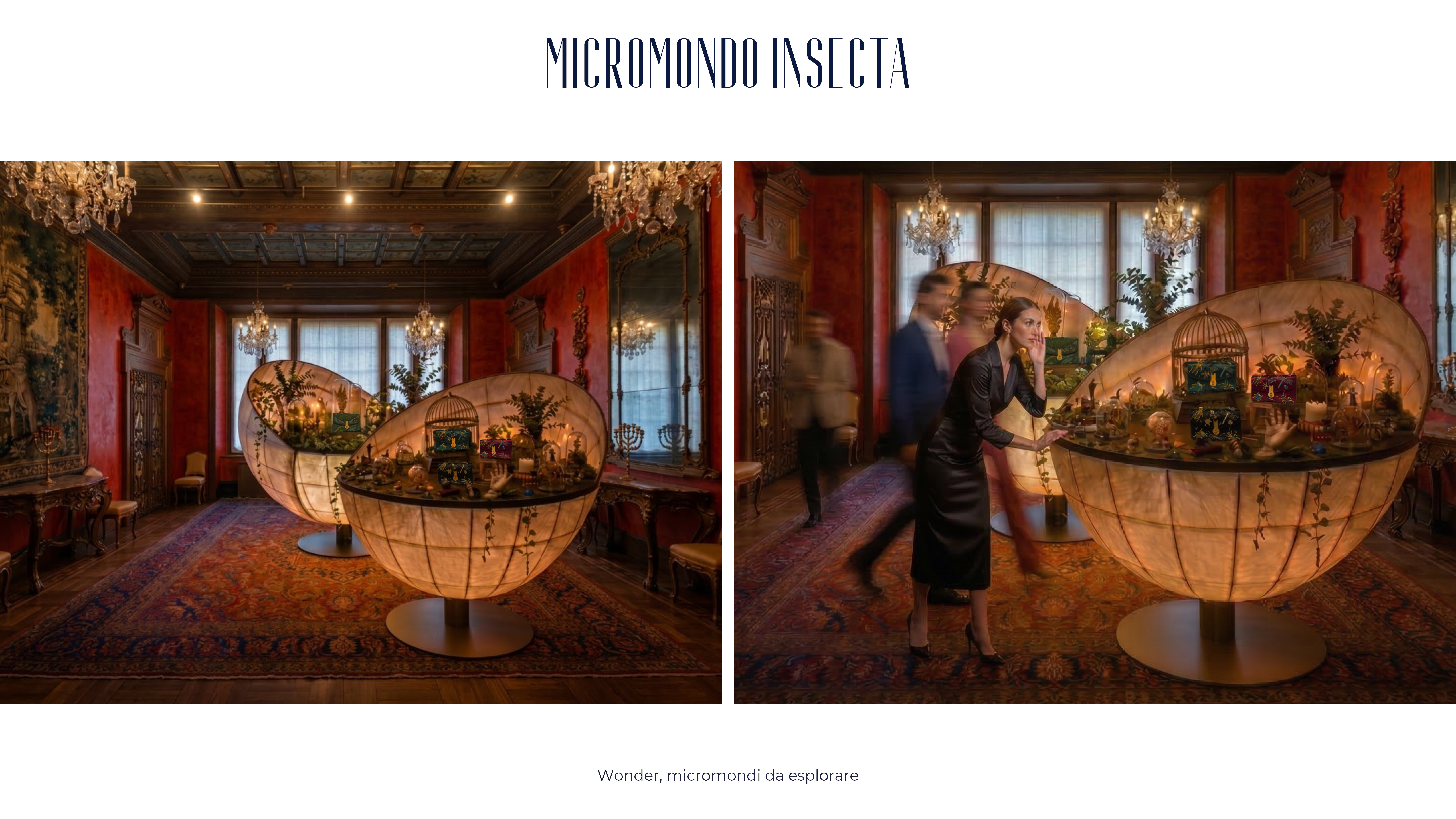 Wonder, Micromondi da esplorare-25