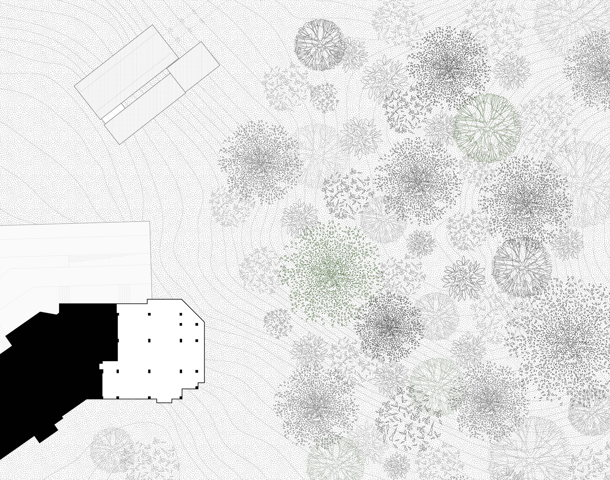 天真的书店或幼稚的书店丨中国张家口丨atelier tao+c-10