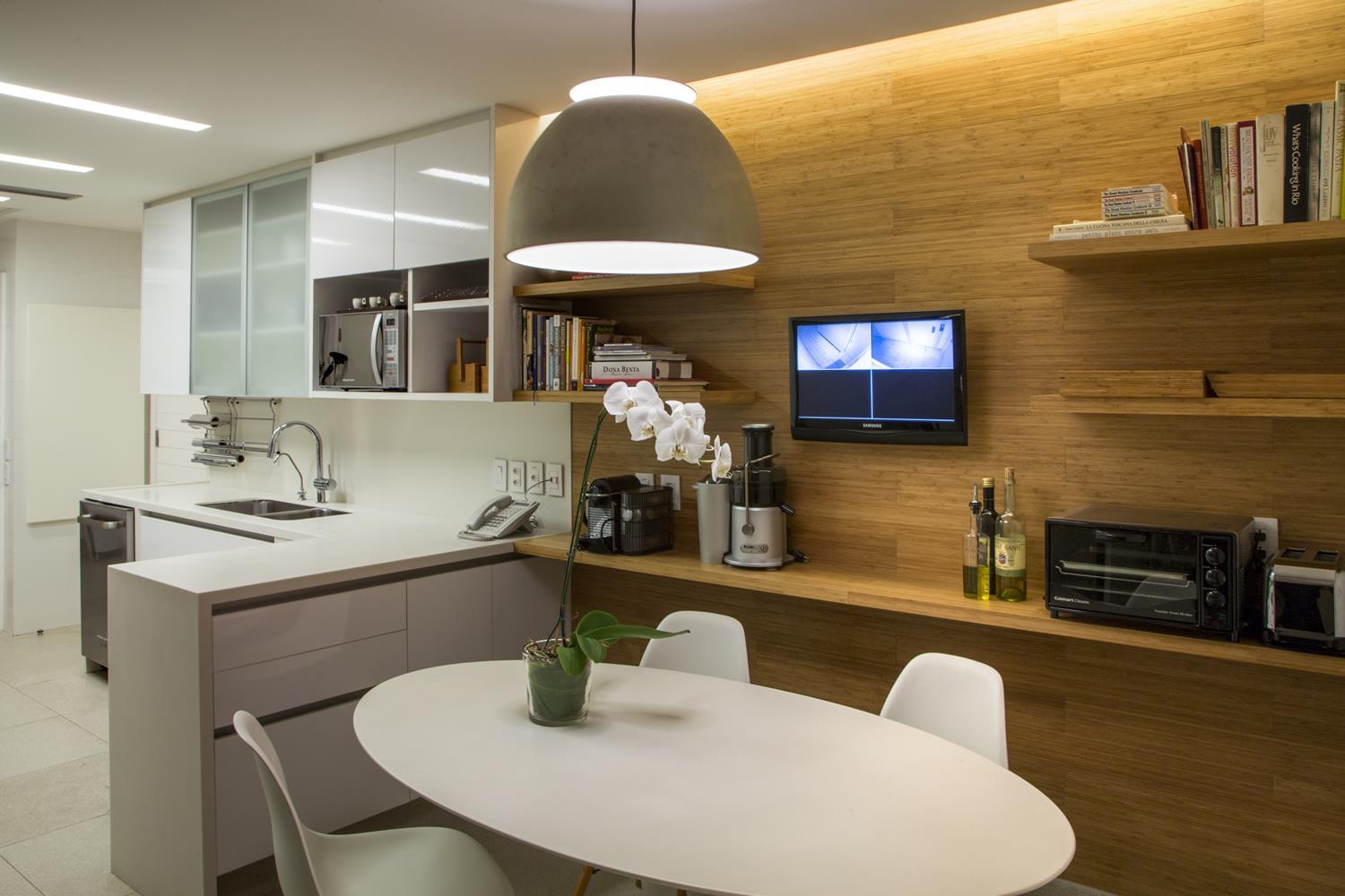 里约热内卢的 RRV 公寓,现代住宅设计的典范-8