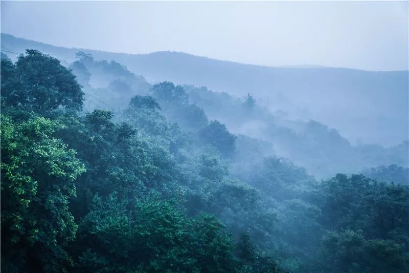 云台山岸上小镇 | 安哲建筑助力乡村振兴的美学实践-134