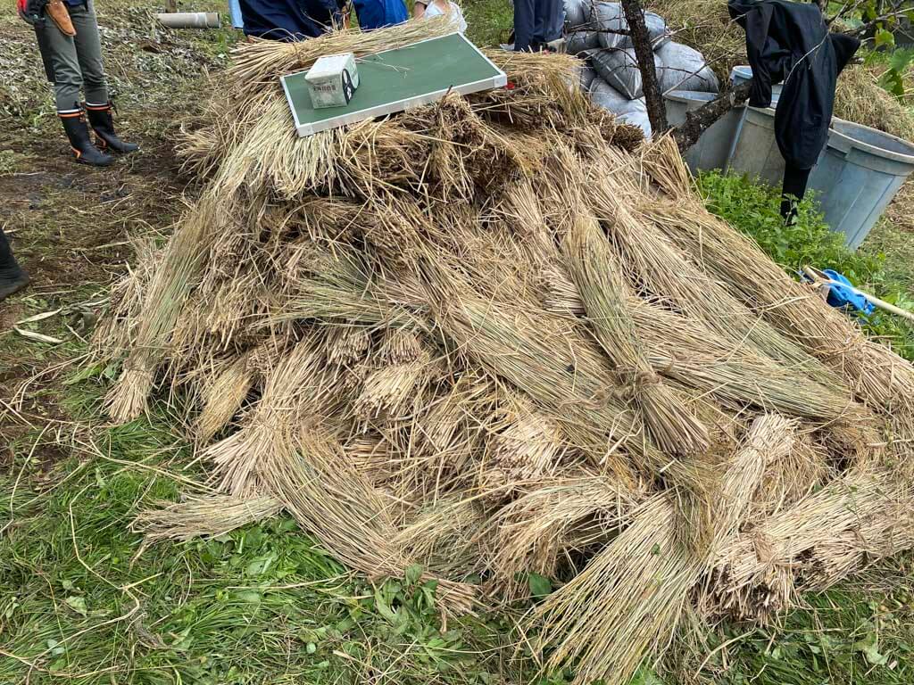 地球守 環境改善講座（小田原）①小さい土手修復丨水野設計室-28