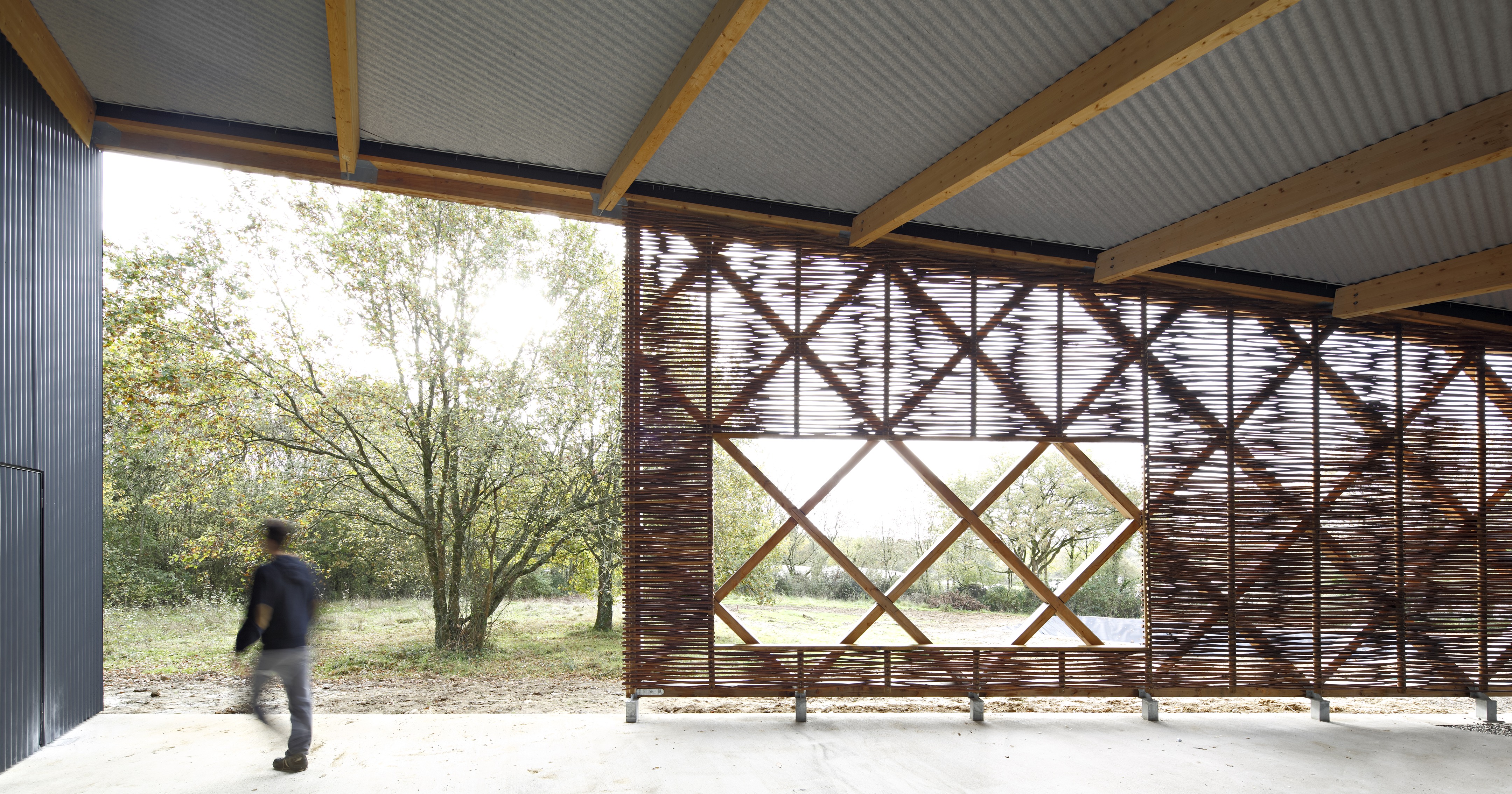 校园绿意 · 蔬菜加工车间与教学结合的设计-63