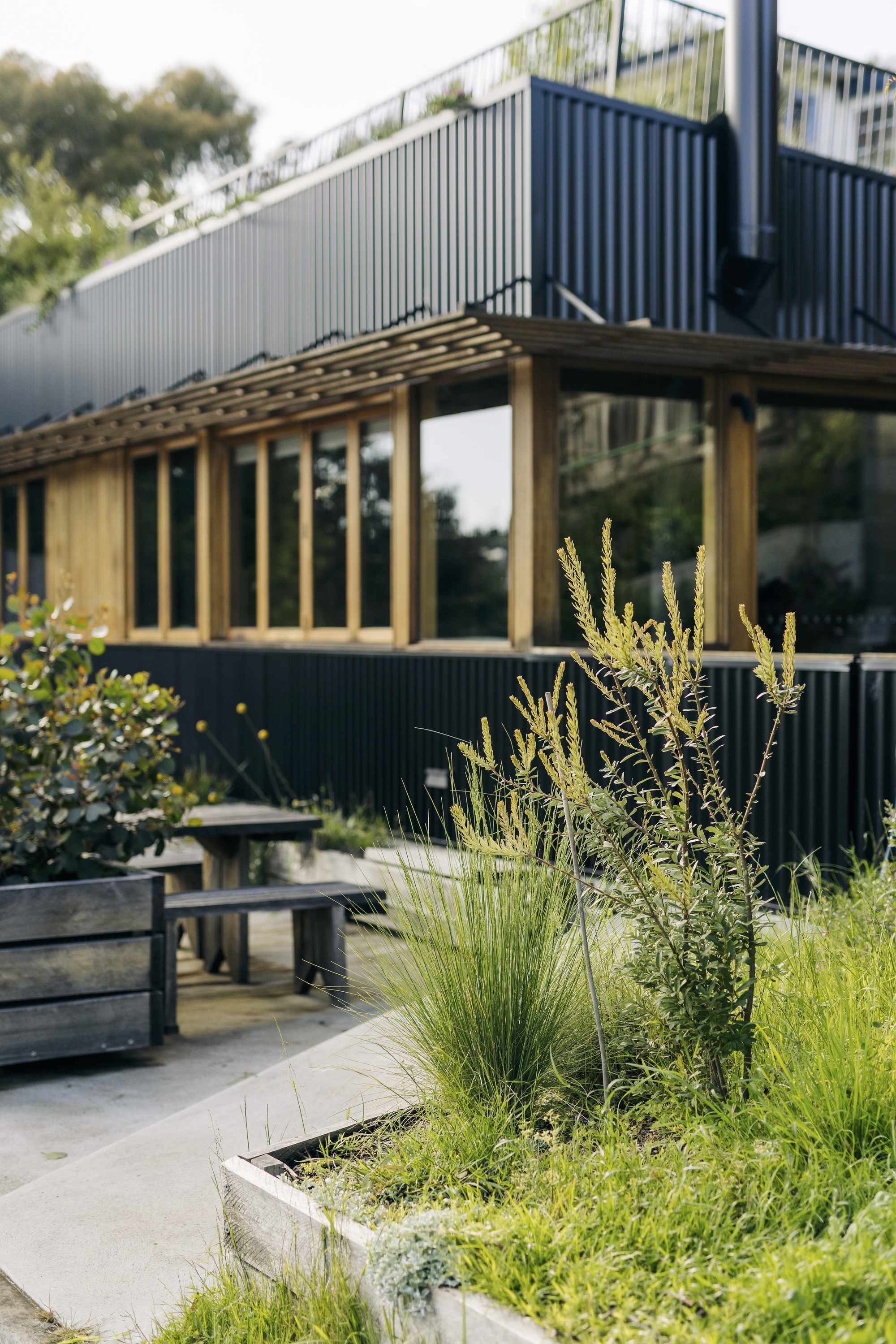 SoHo 小房子丨澳大利亚丨Maguire + Devine Architects-22