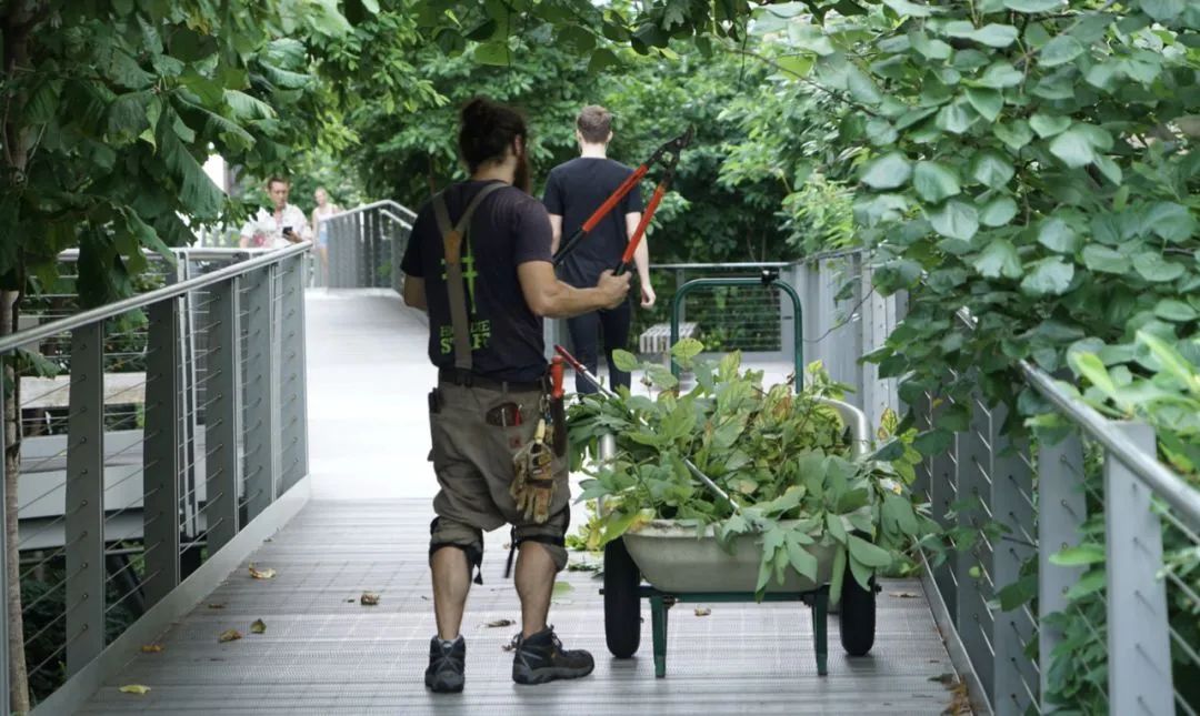 高线公园 (High Line Park)-430