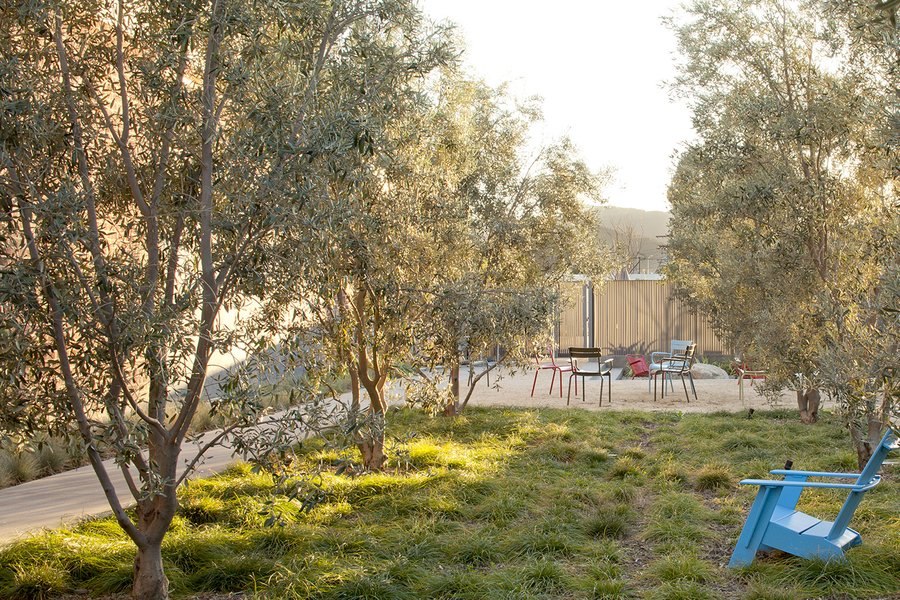 丨美国加利福尼亚-32