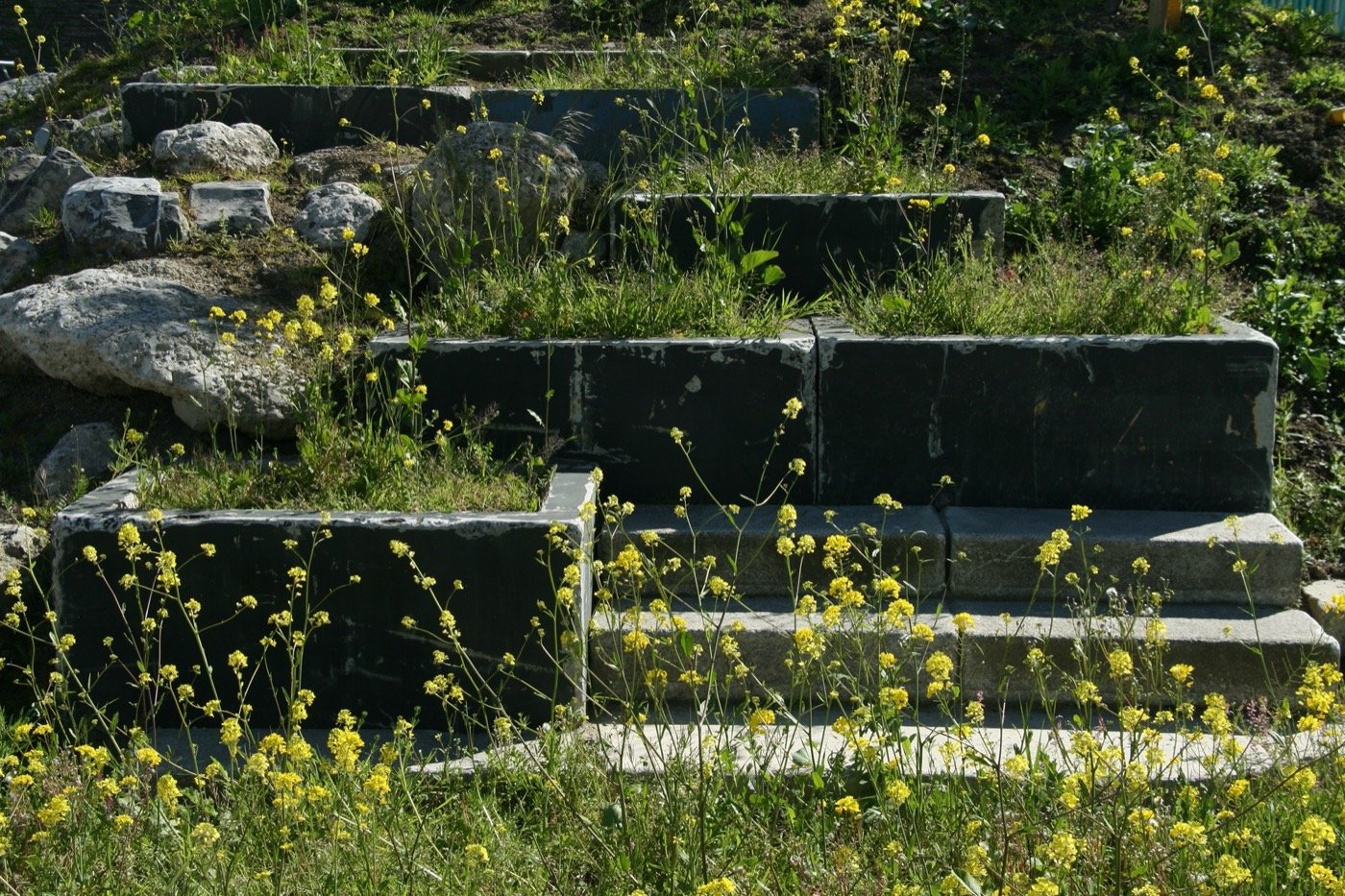 爱尔兰布里奇福特街公园丨DFLA-8