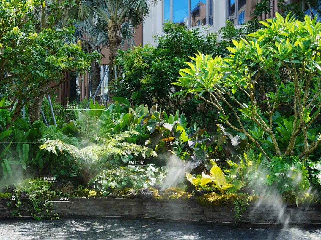 于热带秘境中编织生活美学|江东麓岛阅海澜岸2期花境项目-76