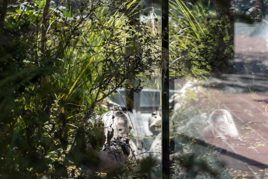 Maggie Marilyn - Xanthe White Design-7