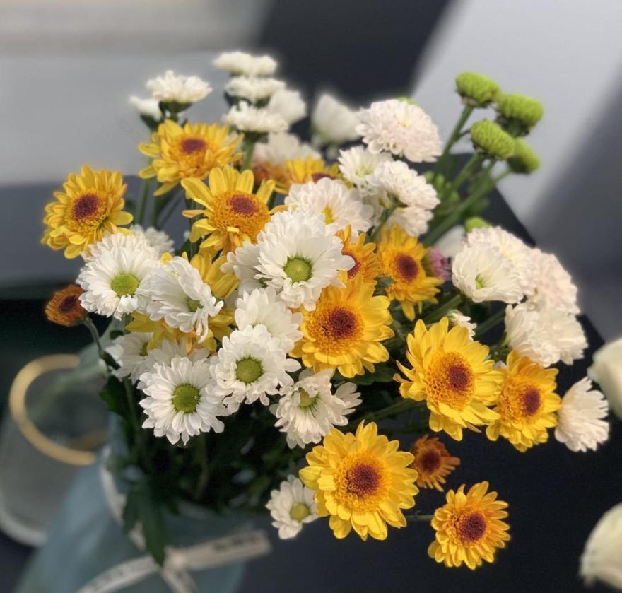 融合多种色彩的个性家居设计-37