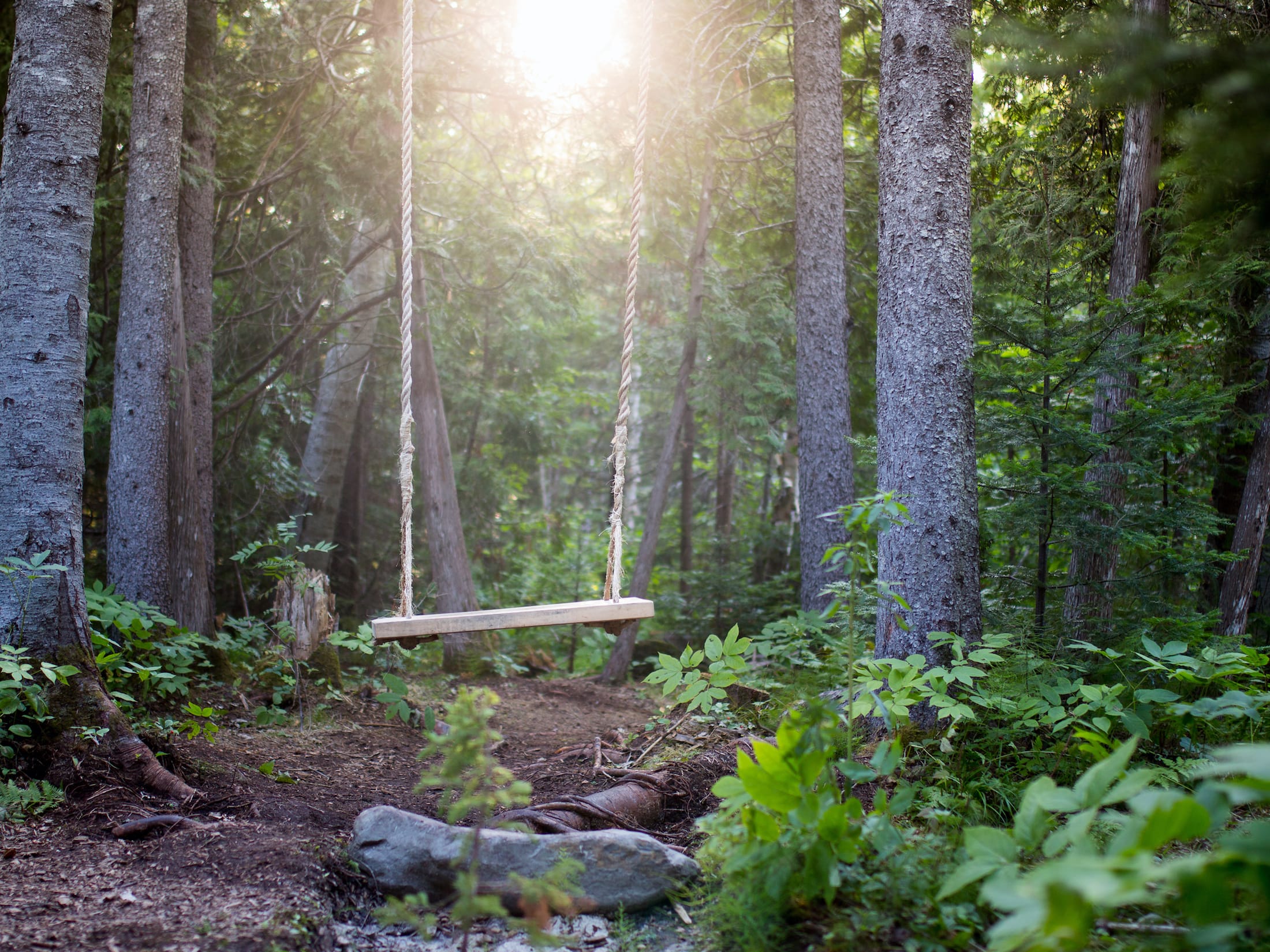 2019加拿大国际花园节(第二部分),Reford Gardens-26