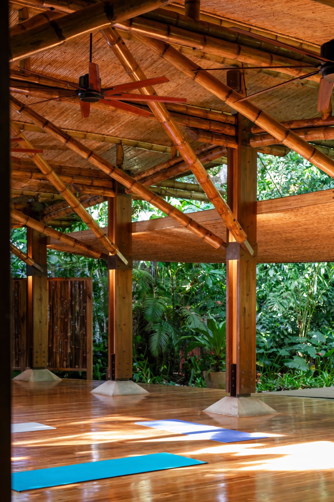 Aguas Claras酒店餐厅和瑜伽馆丨哥斯达黎加丨Studio Saxe-134