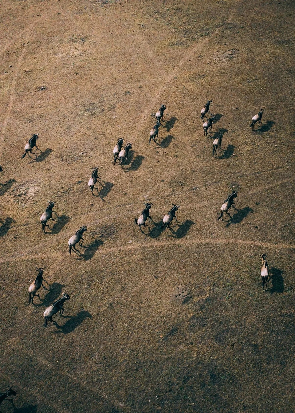 航拍系列,Martin Sanchez-29