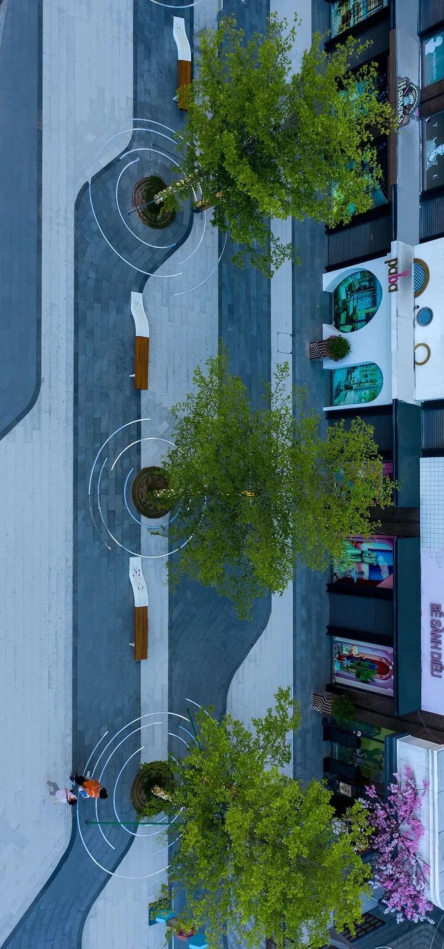 追梦的鱼儿 | 深圳华晖瑞禧-13