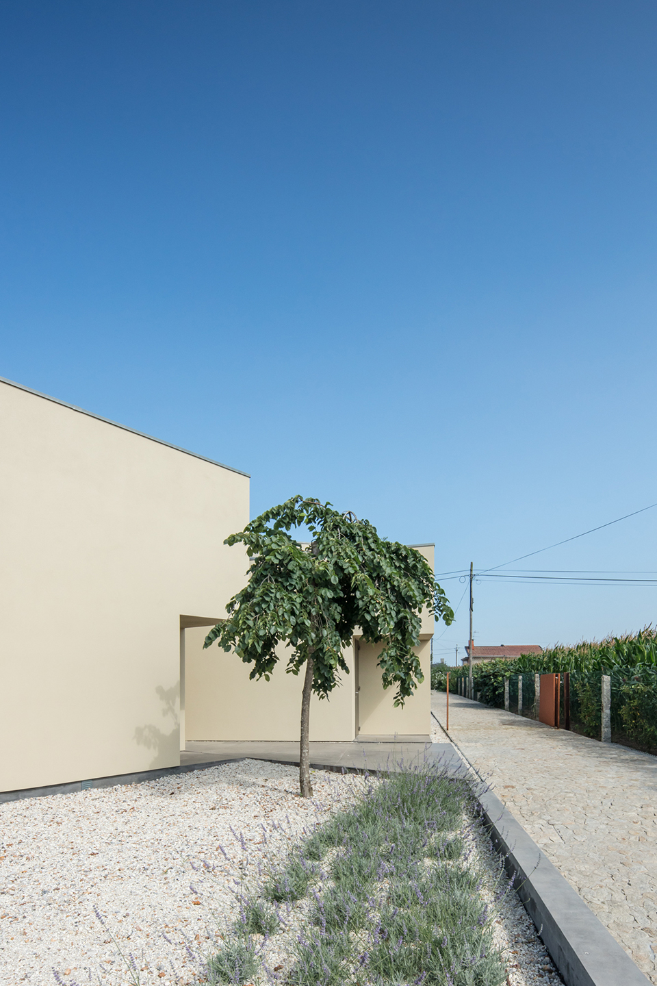 田野间的办公楼，葡萄牙 / Nelson Resende Arquitecto-28