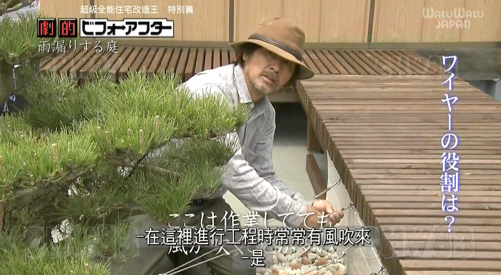 废墟庭院,漏水露台花园改造丨日本大阪丨金井良一-136