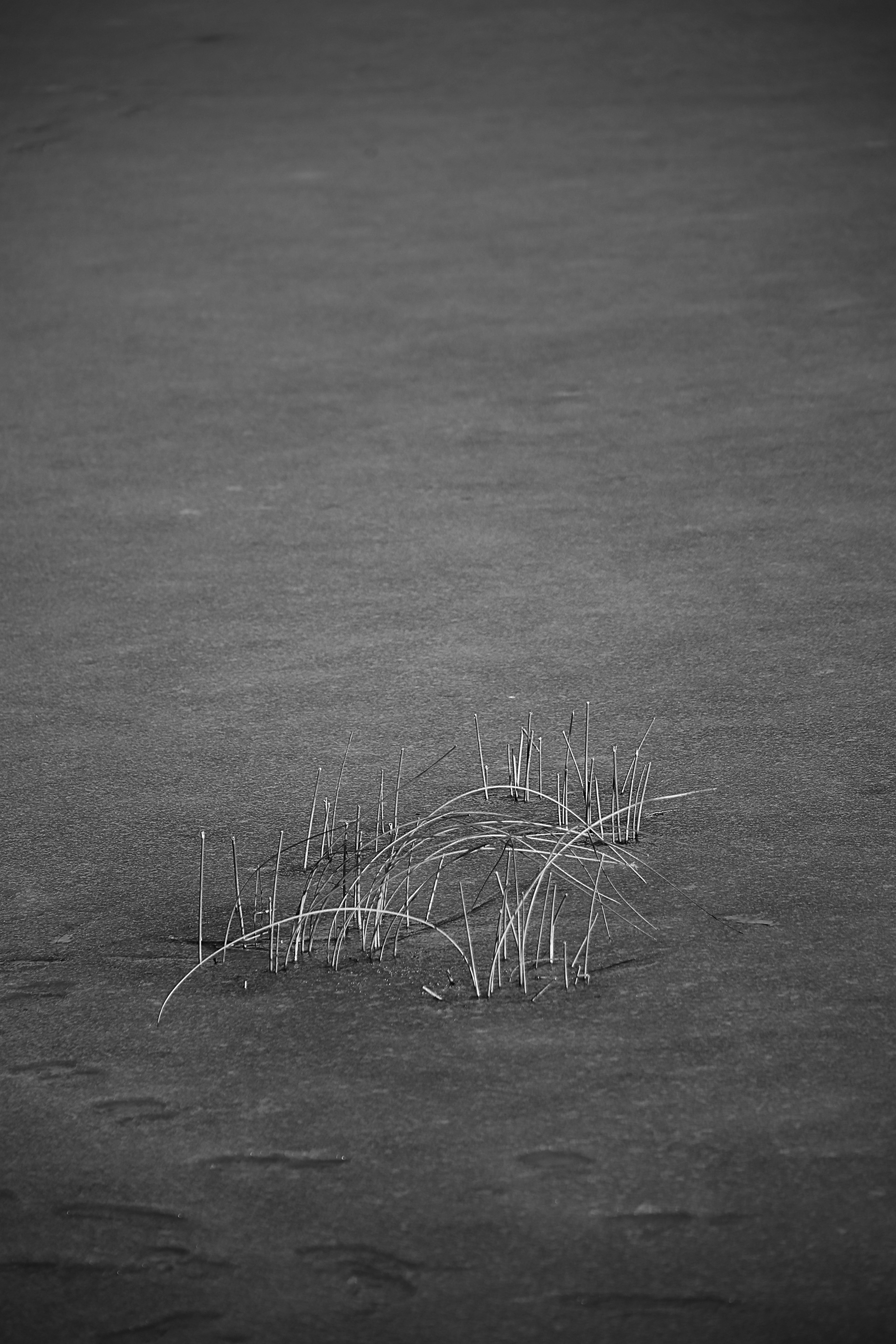 A Winter's Day（冬日）-8