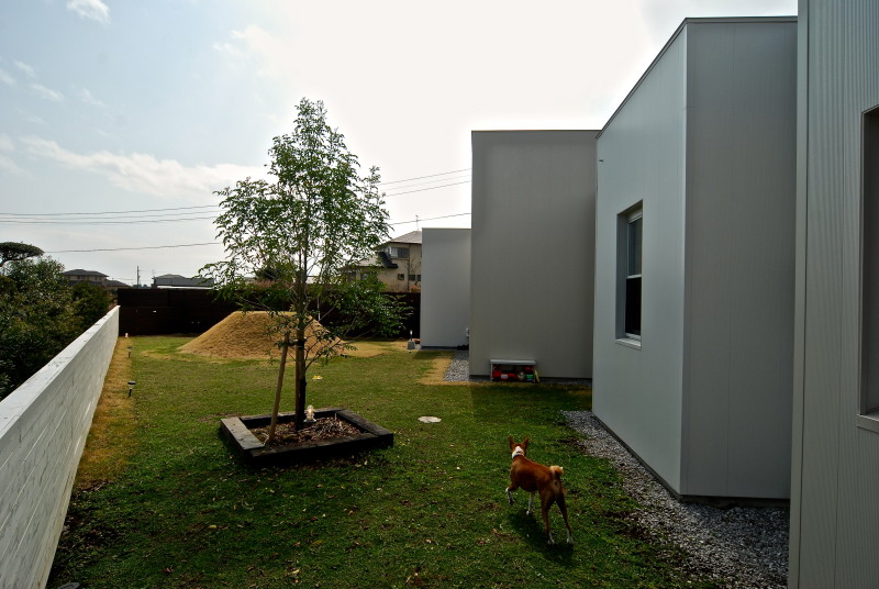 丨日本宫崎丨有限会社 COGITE-32