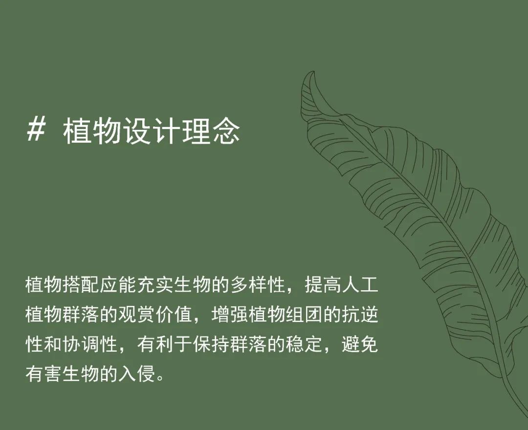 重新组合自然美 · 植物设计浅谈丨中国南京-2
