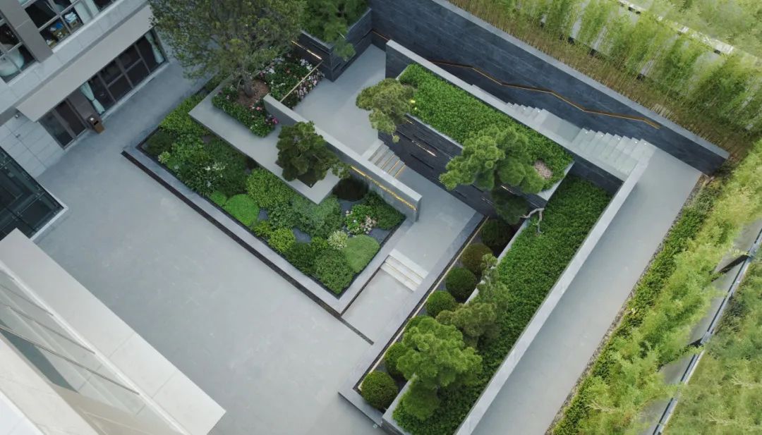 和熙碧影迎明月 | 绿城·沁香园-28