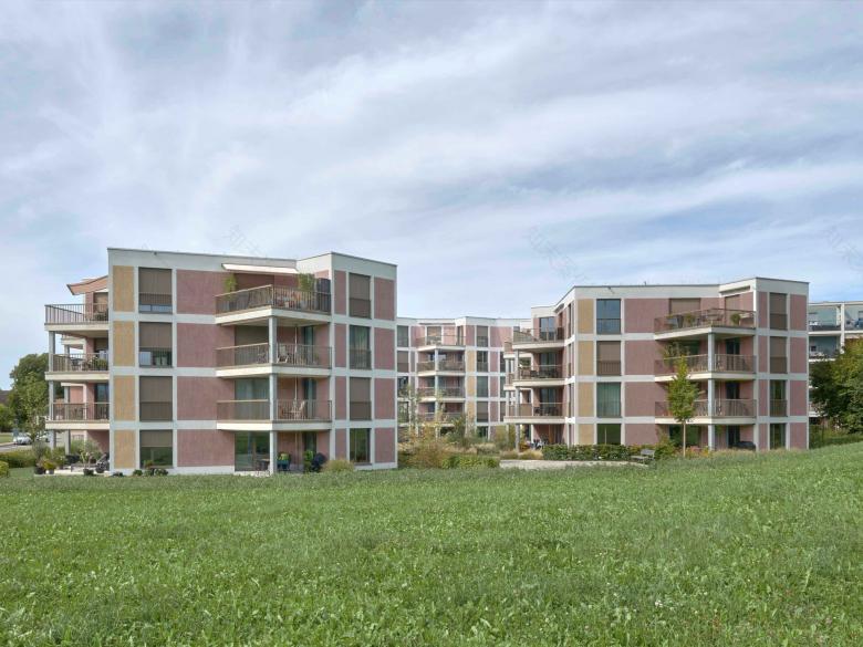 福格尔桑格替代新建丨瑞士-0