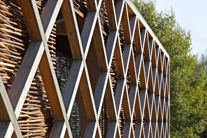 校园绿意 · 蔬菜加工车间与教学结合的设计-70