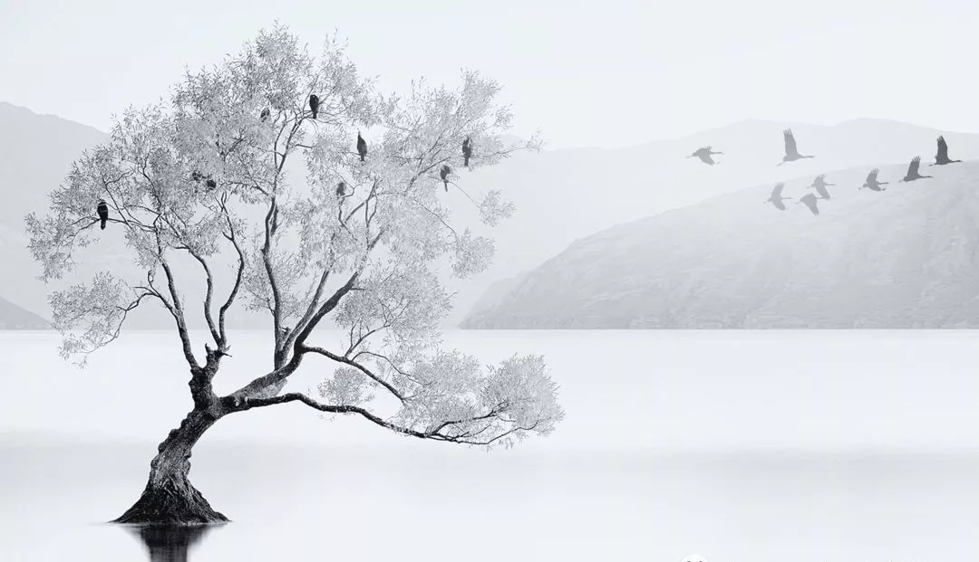 以山水墨画为灵感源头，武汉华侨城原岸样板间  吴滨-0