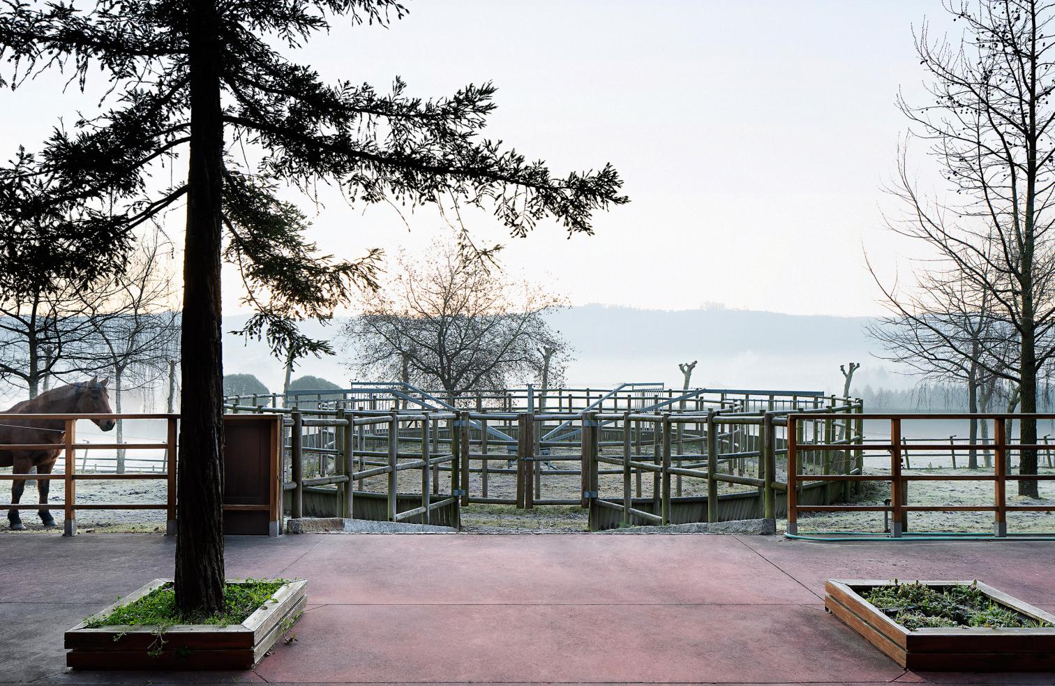 葡萄牙 São Cosme do Vale 马术学校丨Visioarq Arquitectos-11