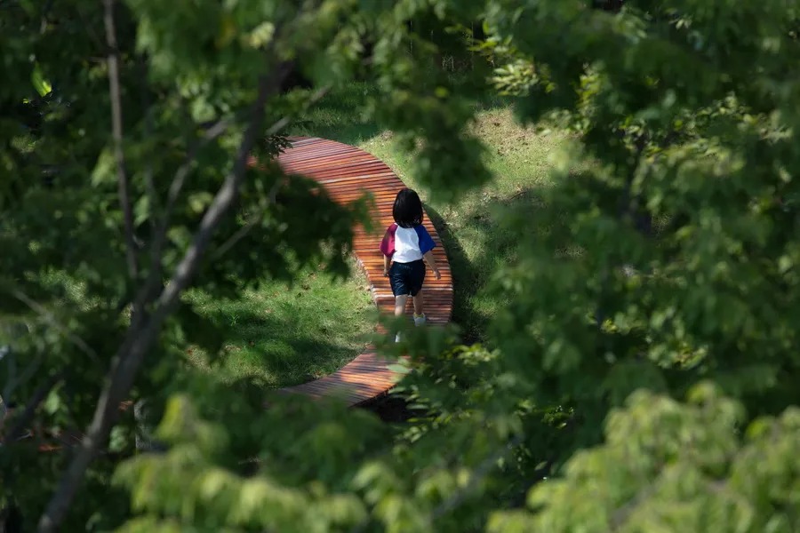   张唐景观丨上海大华马杰克双语幼儿园  景观设计 丨中国上海-34