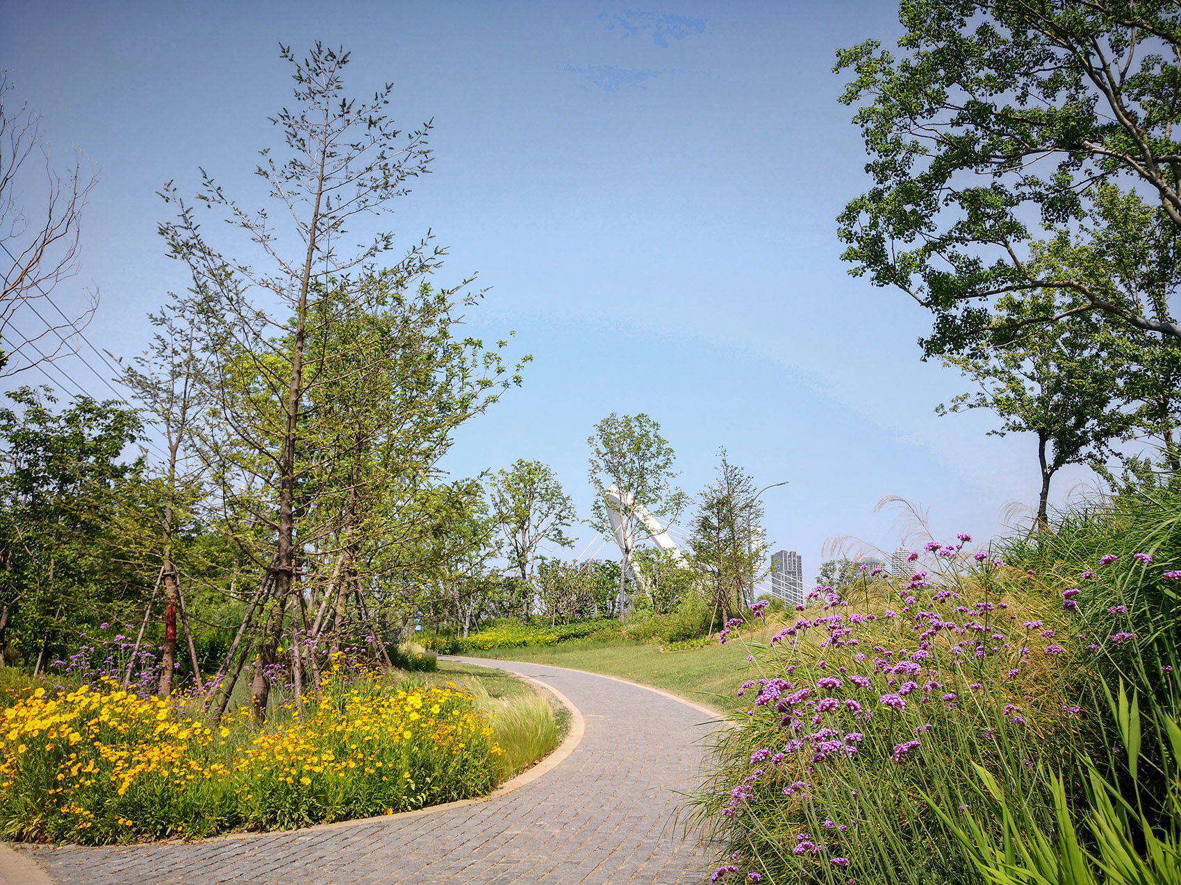 新加坡·南京生态科技岛-57