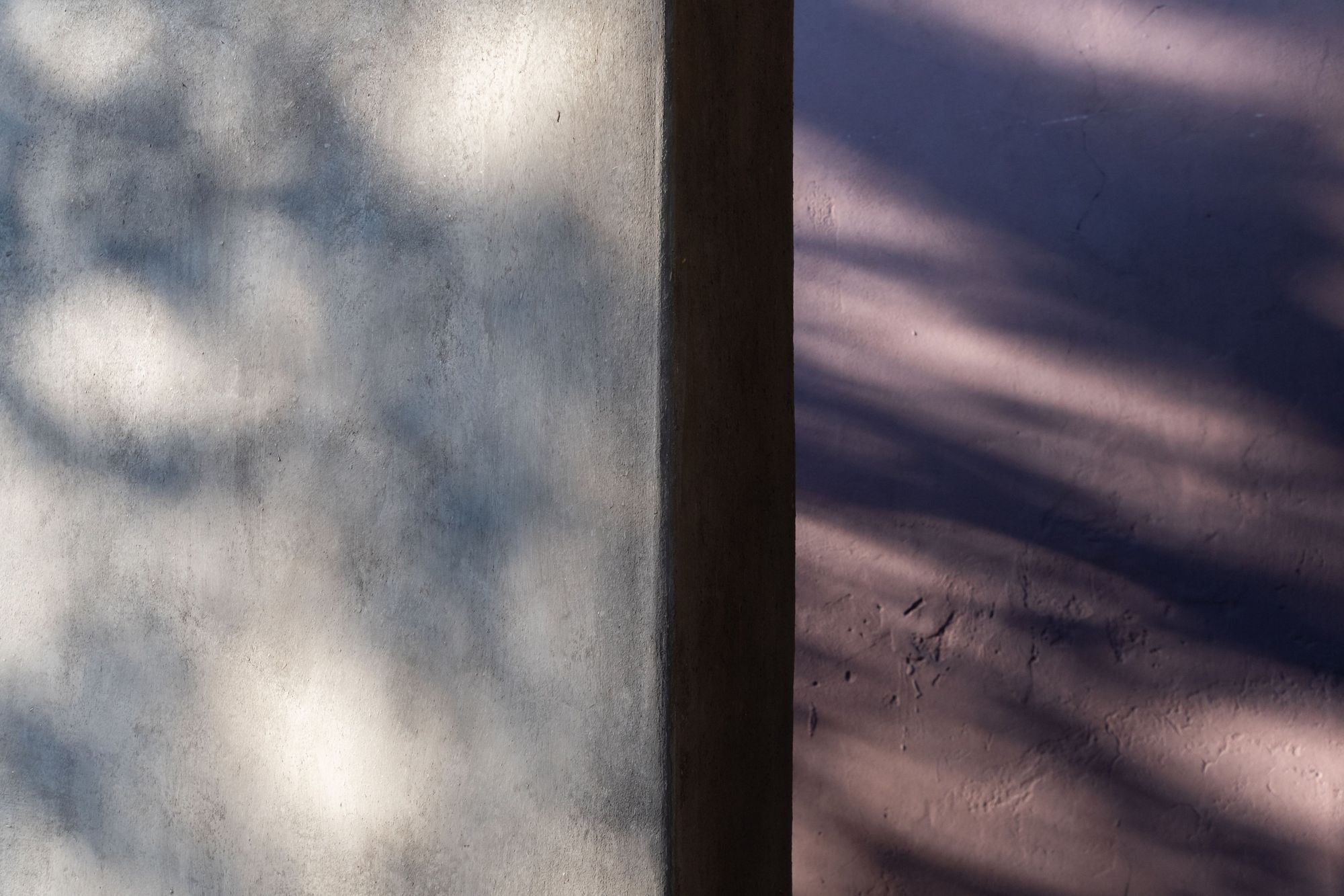 伊斯科特的肺,庭院工作室丨阿根廷科尔多瓦-37