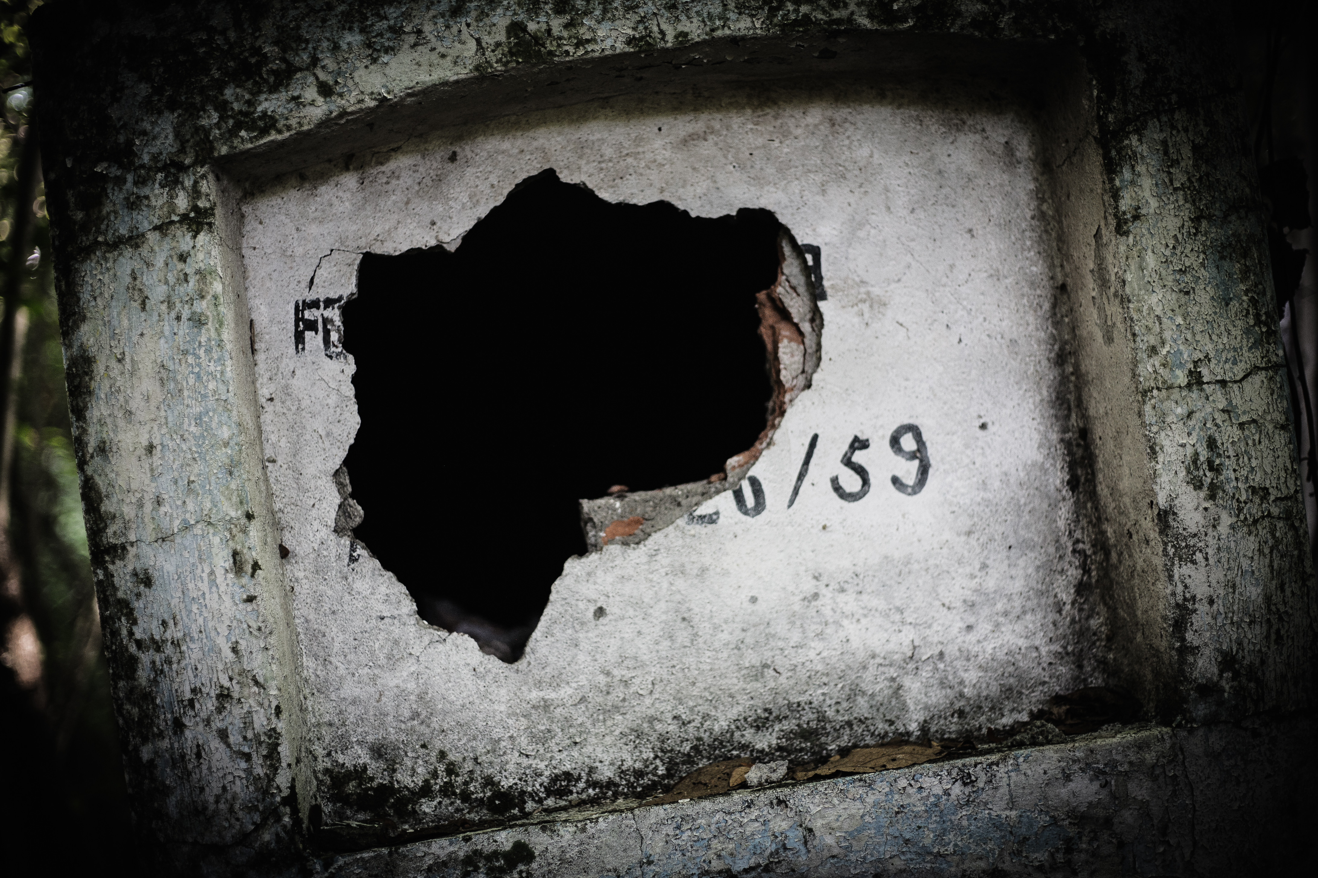 LA BELLEZA CONTRA LA INFAMIA-9