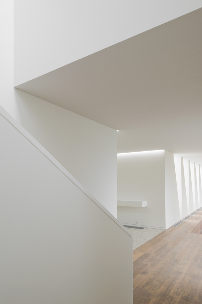 矛盾中的和谐,别墅设计实现隐私与透明共存-46