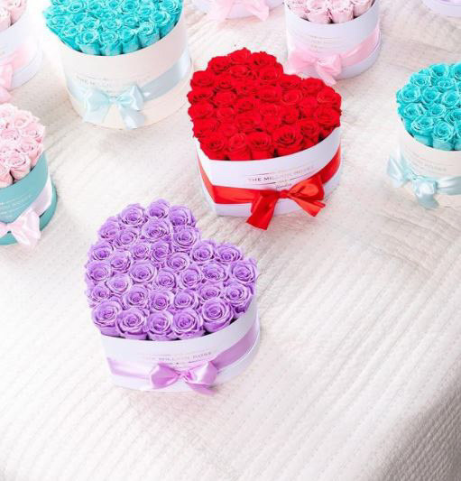 百万玫瑰丨美国洛杉矶丨ANTIQUE Studios-21