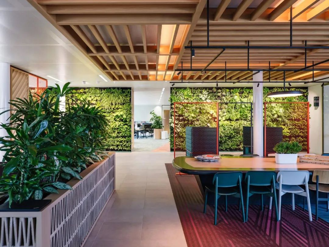 Galapagos企业总部丨荷兰丨CBRE-56