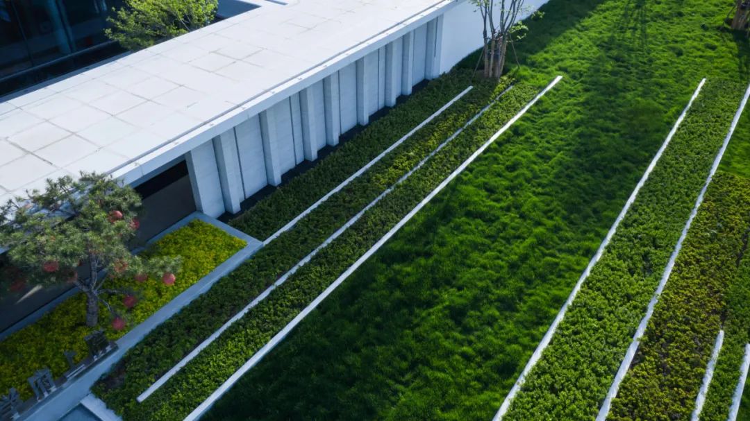 抵达彼岸剧场  禹州耀润 · 学府上院丨中国平顶山丨山水比德—郑州院-5