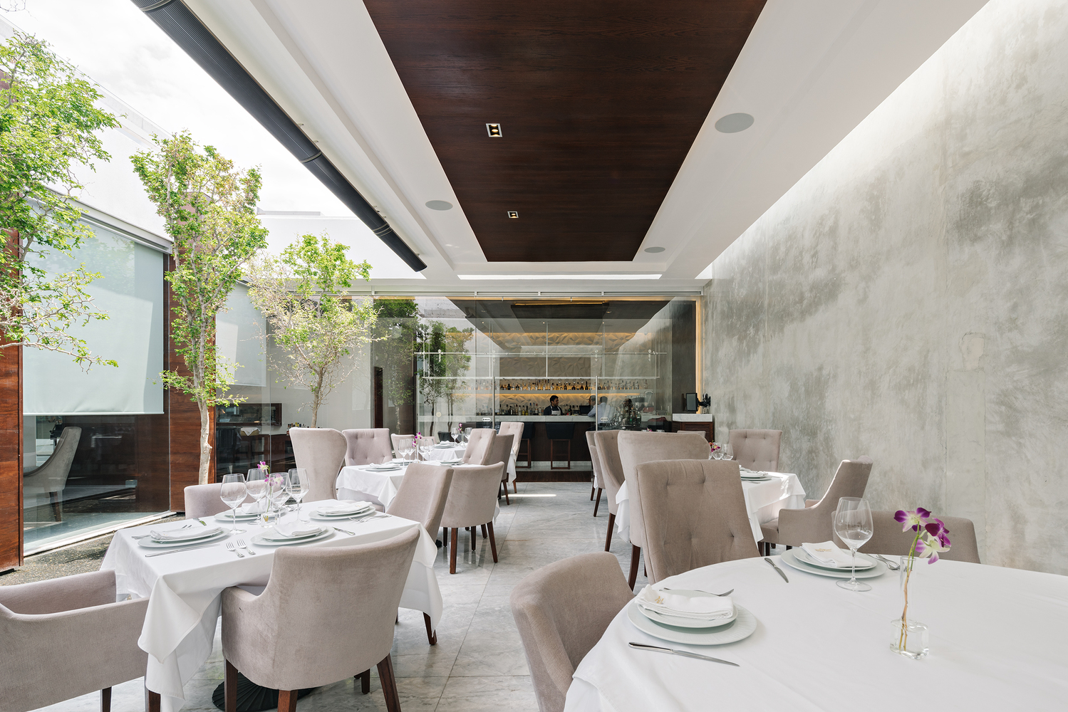 萨拉特工作室-33