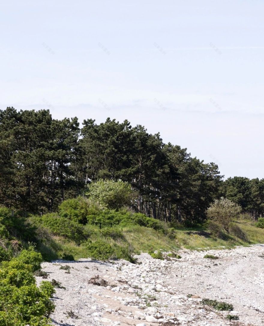 香港浅水湾住宅丨中国香港丨Norm Architects-65