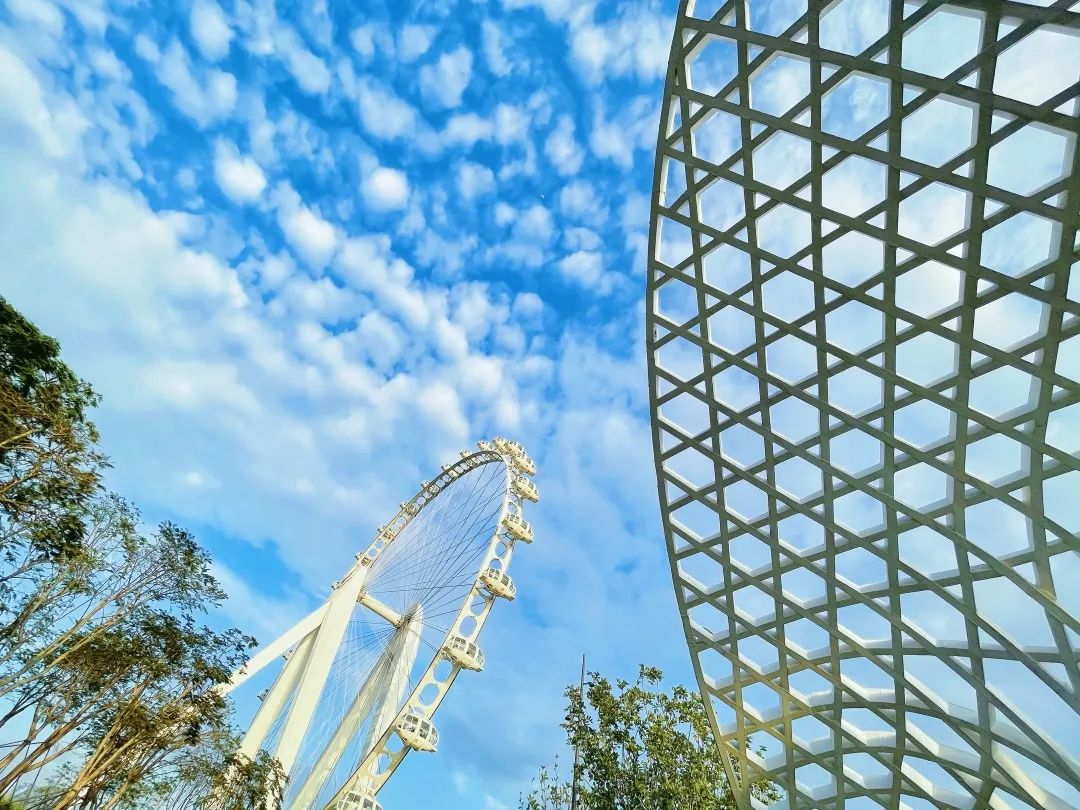 千园之城又添新景，这里的浪漫从白天到黑夜-20