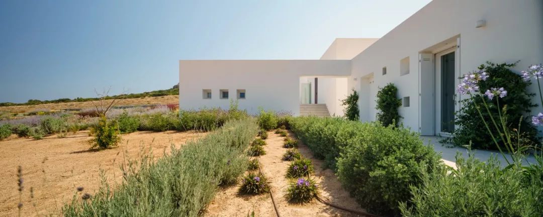 古岛与现代建筑的平衡-8