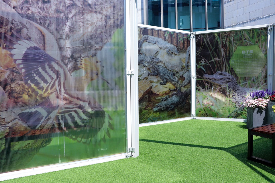 雨花快闪公园丨中国南京丨苏邑设计集团-53