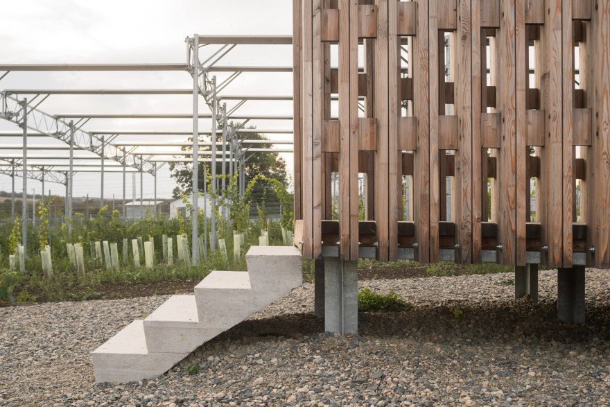 安息礼拜堂丨捷克丨JUNG Architekti-30